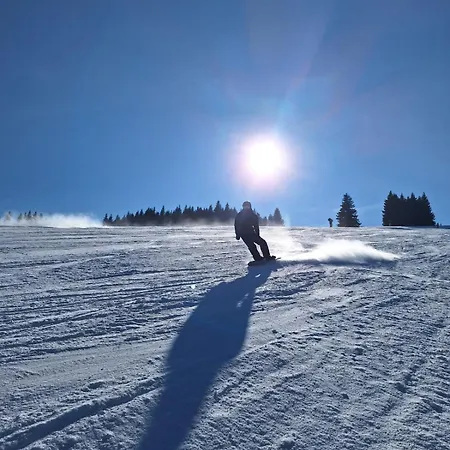 Appartement Helena - Helena 2