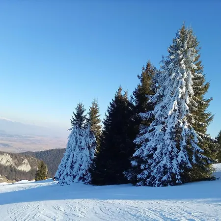 Helena - Helena 2 Appartement